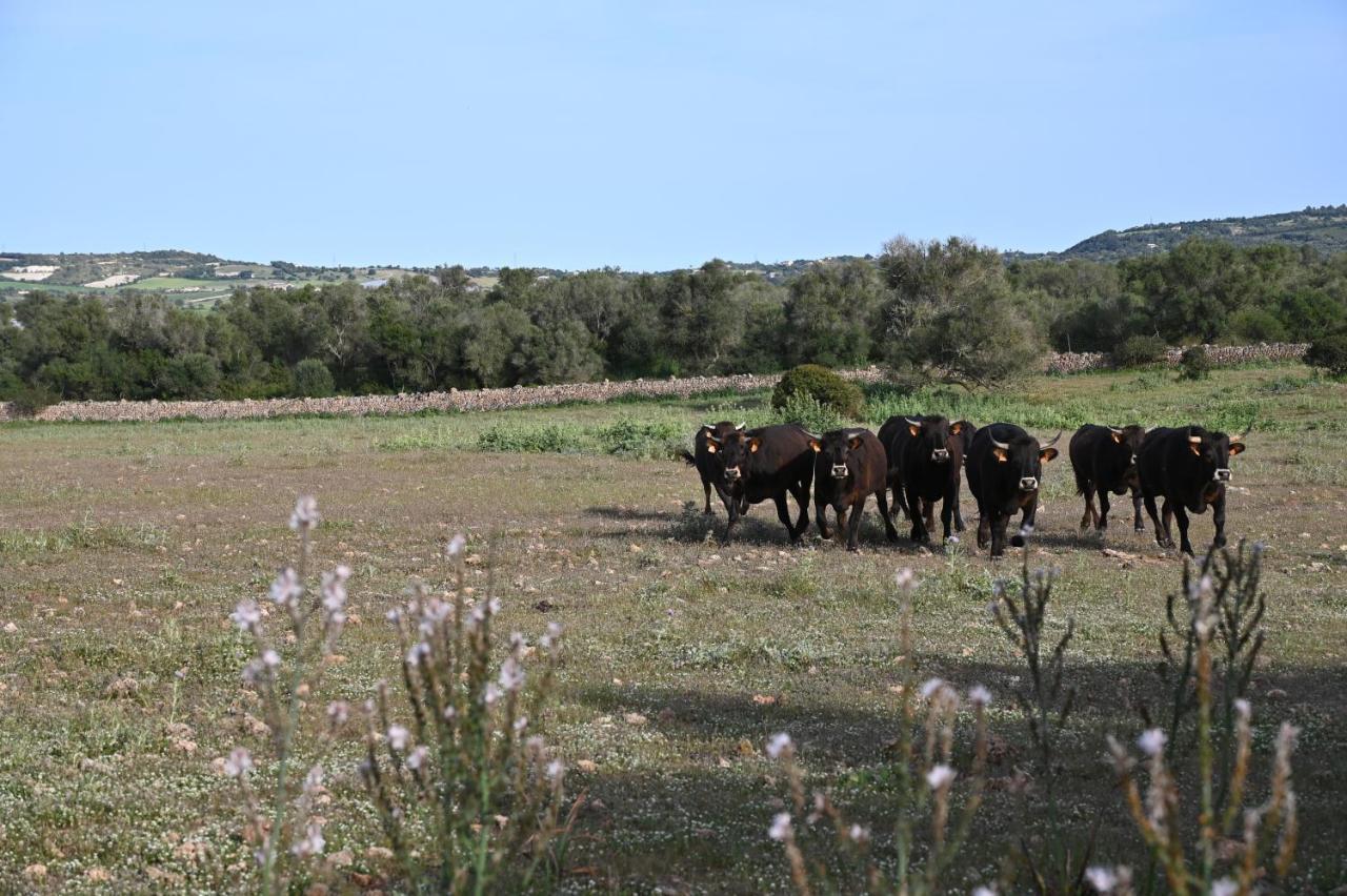 Finca Sa Cova Vella Manacor (Mallorca) Exterior foto