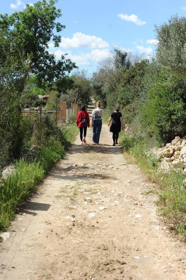 Finca Sa Cova Vella Manacor (Mallorca) Exterior foto
