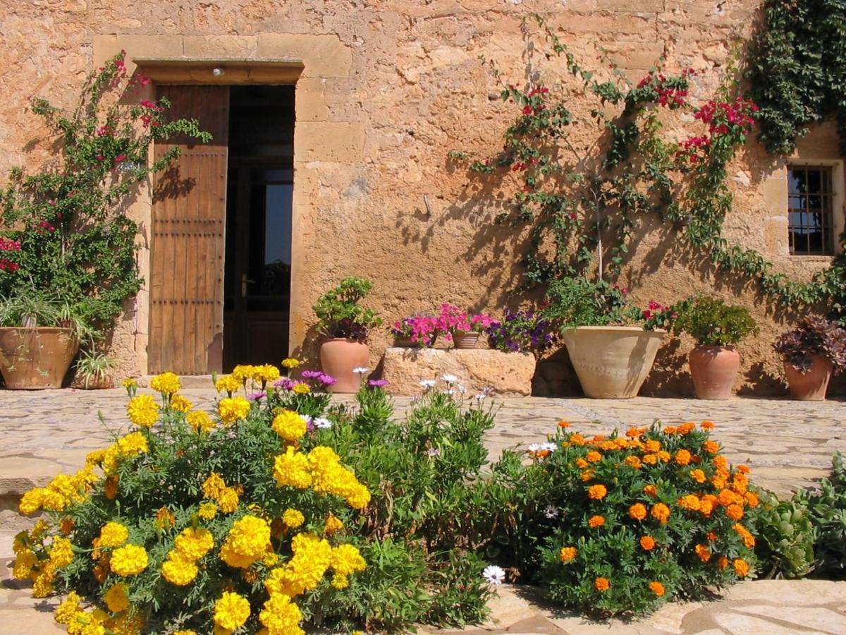 Finca Sa Cova Vella Manacor (Mallorca) Exterior foto