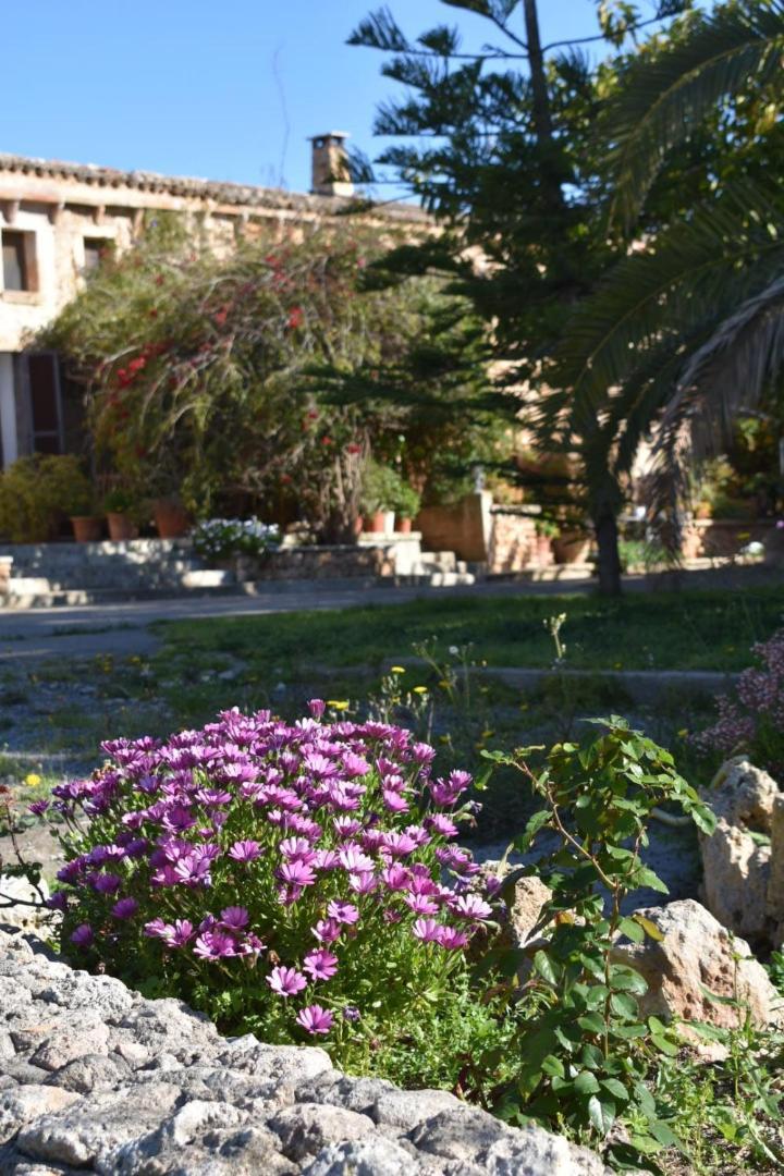 Finca Sa Cova Vella Manacor (Mallorca) Exterior foto