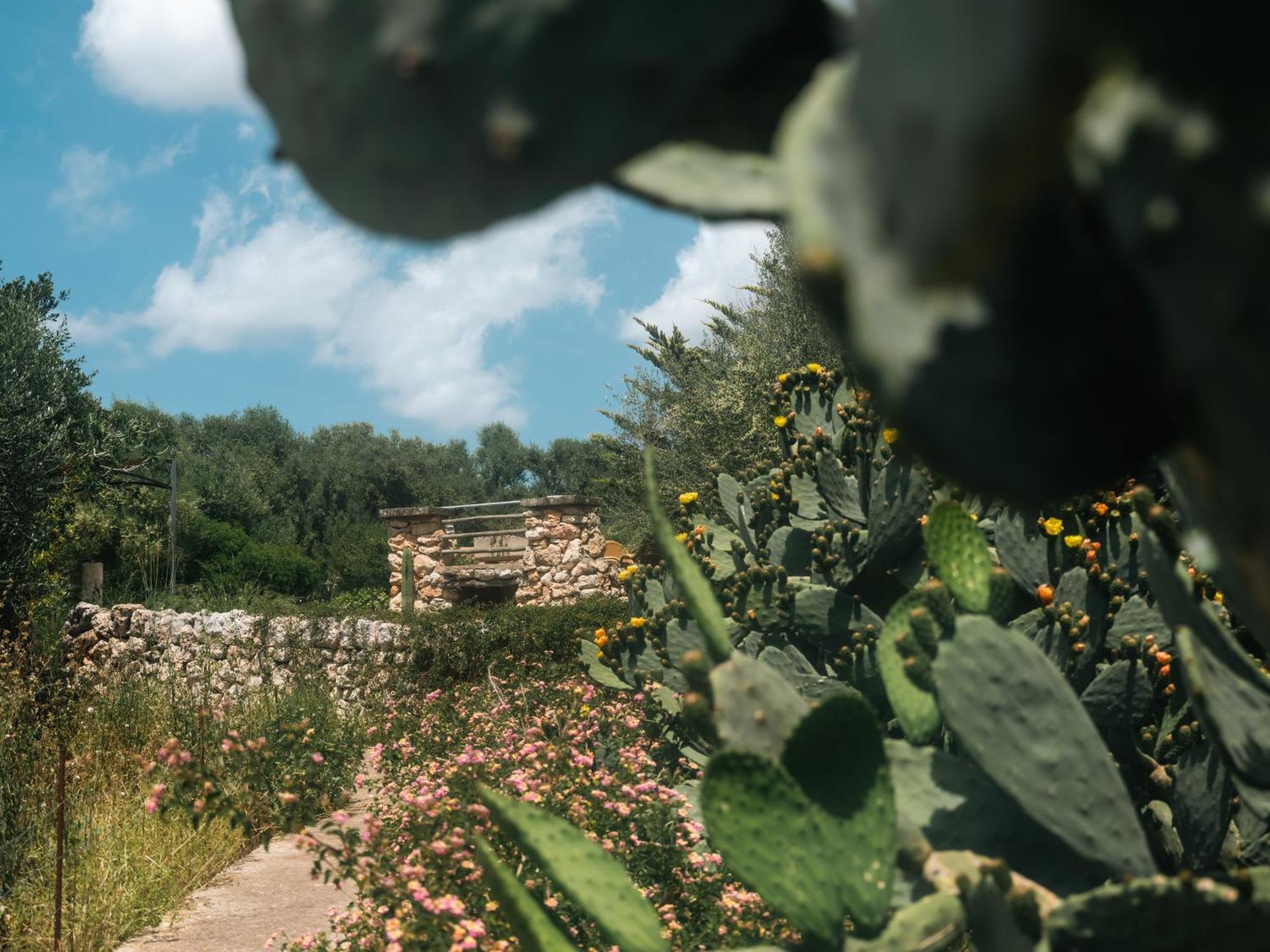 Finca Sa Cova Vella Manacor (Mallorca) Exterior foto