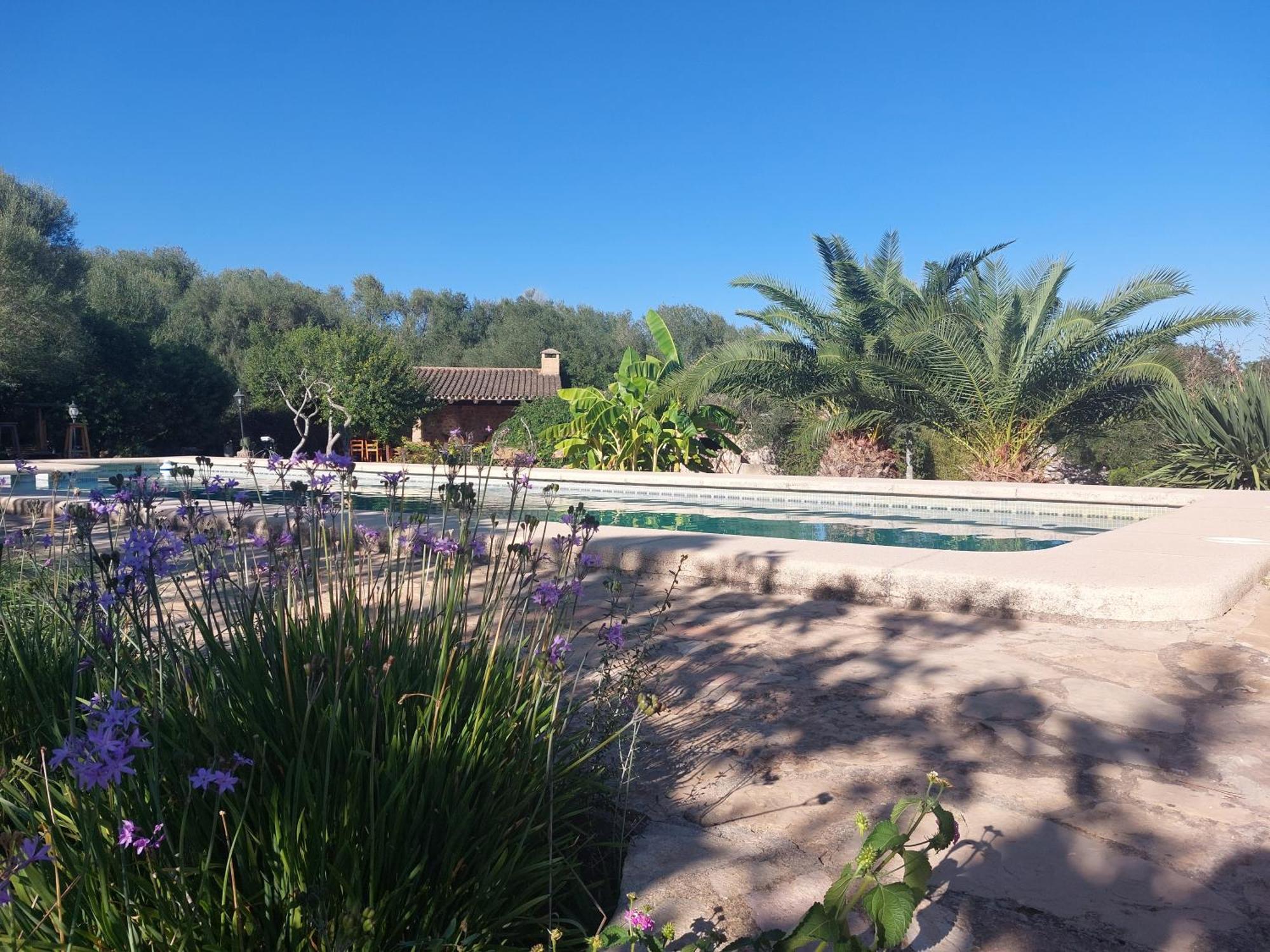 Finca Sa Cova Vella Manacor (Mallorca) Exterior foto