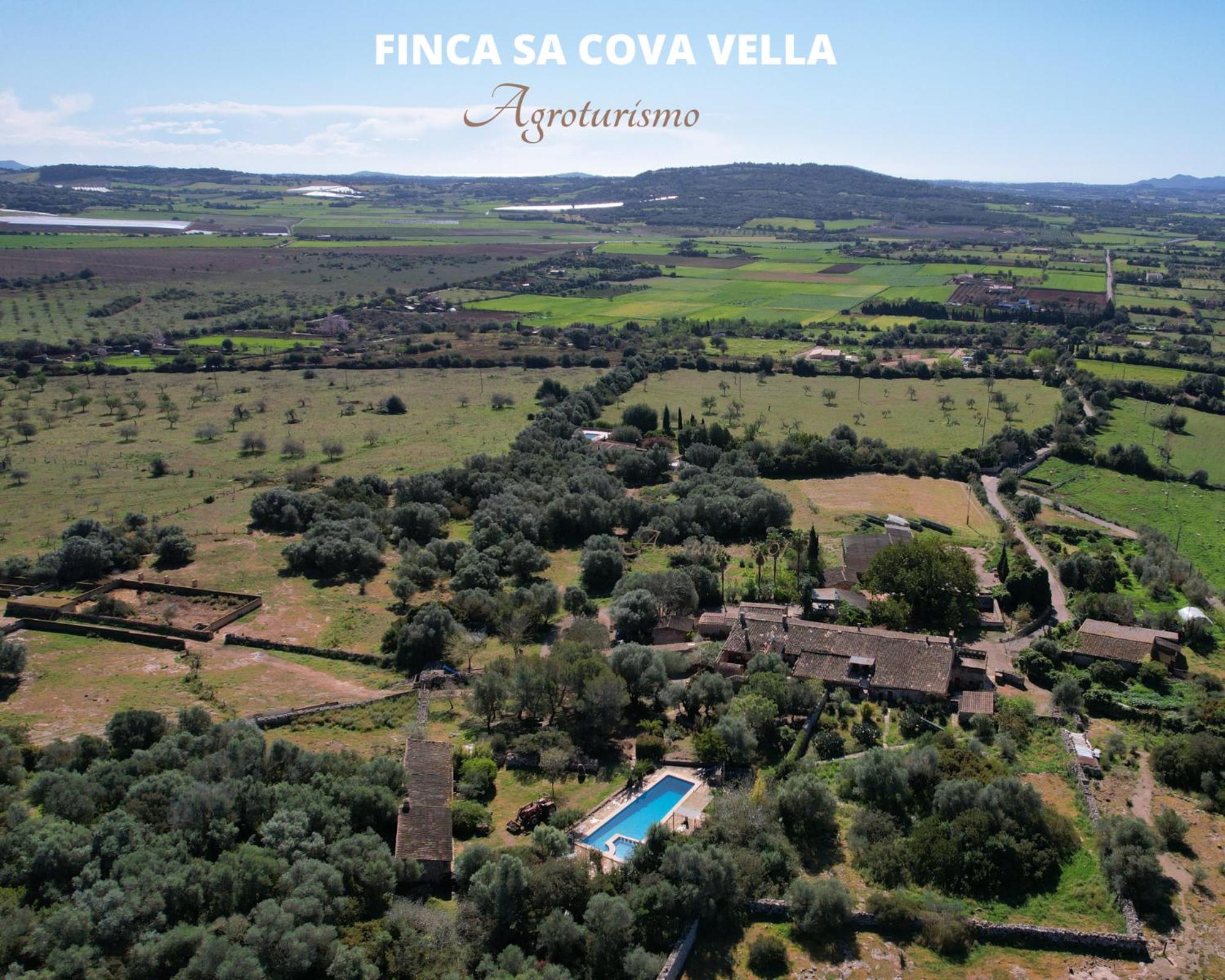Finca Sa Cova Vella Manacor (Mallorca) Exterior foto